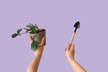 Gardener with plant and shovel on lilac background