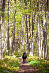 A lady hiking through the Canadian wilderness.