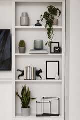 Interior design. Shelves with stylish accessories, potted plants and frame near white wall
