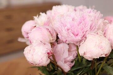 Beautiful pink peonies on blurred background, closeup
