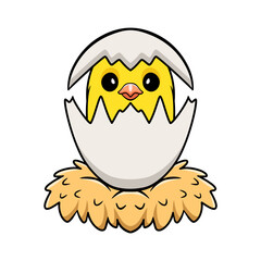 Cute canary bird cartoon inside from egg