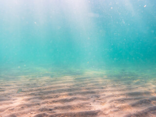 Fototapeta na wymiar underwater view of seafloor 