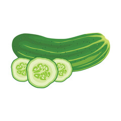 Vector illustration of ripe and unripe green cucumber with leaves. Sliced and whole cucumber vegetable in cartoon flat style for business and education design element. Healthy for skin treatment