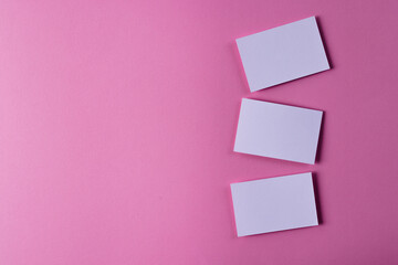 Obraz na płótnie Canvas White business cards with copy space on pink background