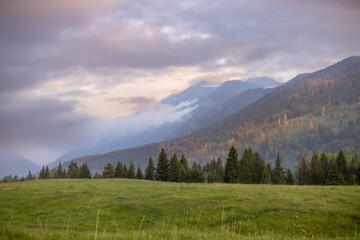Montana Mountain Landscapes Summer spring