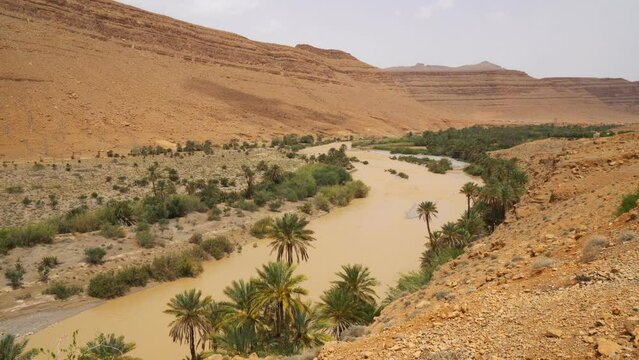 Ziz River and Oasis, Morocco, Real Time
