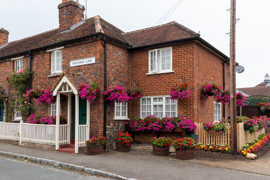 Cottage with extension and colourful flowers