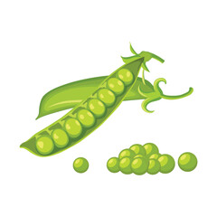Vector illustration set of green pea vegetable icon. Drawing pea in cartoon flat style. The end of the pod of green peas. Element for packaging and menu design. Isolate on a white background. 