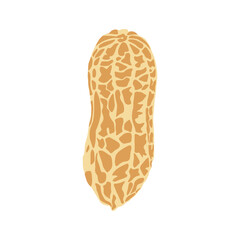Vector illustration of peanut icon in cartoon flat style. Natural peanut food fat protein for healty life. Drawing nut for menu packaging advertising. Isolated on white background.