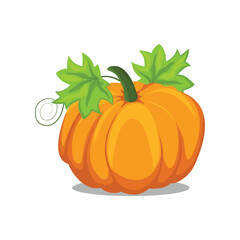 Vector illustration of pumpkin fruit flat icons cartoon style. Sign kit of halloween. Thanksgiving pictogram collection farm harvest, closeup squash, vegetable. Simple yellow pumpkin autumn fruit logo