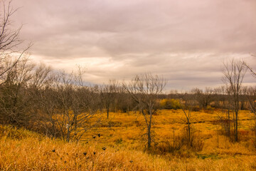 Obraz na płótnie Canvas Beautiful Autumn scenery at the ravine