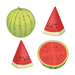 Vector illustration cartoon sttle whole and slice watermelon fruit. Green striped berry with red pulp and brown bones, cut and chopped fruit, half and sliced for summer fresh with green leaves