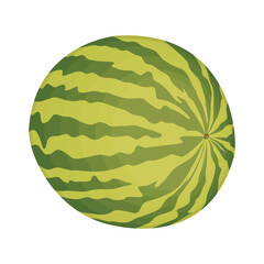 Vector illustration cartoon sttle whole and slice watermelon fruit. Green striped berry with red pulp and brown bones, cut and chopped fruit, half and sliced for summer fresh with green leaves