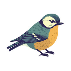 Cute small bird perching, flying with colorful feathers