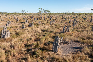  Giant  termite mounds in outback Queensland, Australia.