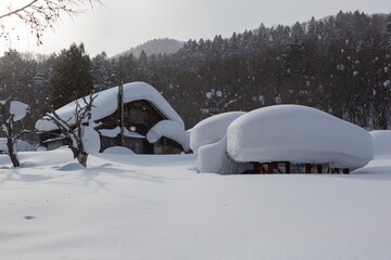 北海道、家の周り冬の景色
