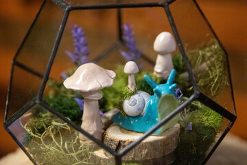 Succulent Home Set Up