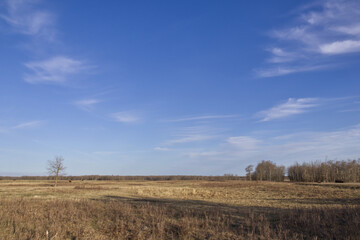 Elk Island National Park during Evening Hours in Spring