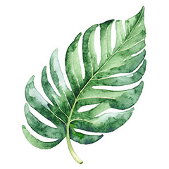 Water Color Leaf On Transparent Background PNG Ai Generated