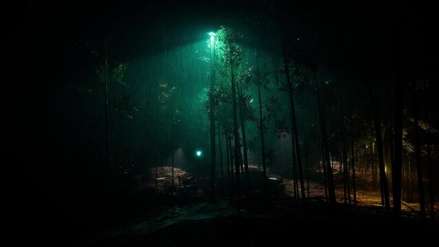 Cold wet rain in the deep bamboo forest
