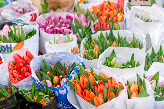 Tulip, tulips bouquet. Present for March 8, International Women's Day. Holiday decor with flowers. Bouquet with colorful tulips. Red tulip, yellow tulip. Holiday floral decor. Spring tulips, bouquet
