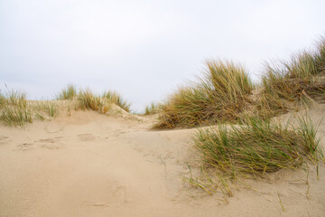 Fototapeta na wymiar Beach view from the path sand between the dunes at Dutch coastline. Marram grass, Netherlands. The dunes or dyke at Dutch north sea coast