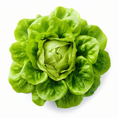 Green fresh lettuce. Illustration AI Generative..