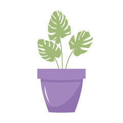 Monstera leaves in a flowerpot. Still life postcard. Cartoon flat illustration.