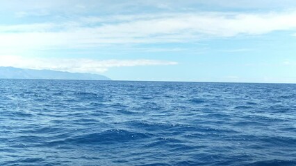Bottlenose dolphin jumping in vast rough ocean close to in Tenerife