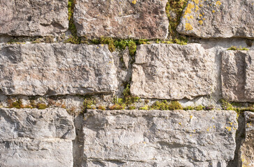 a garden wall of limestone blocks in sunlight