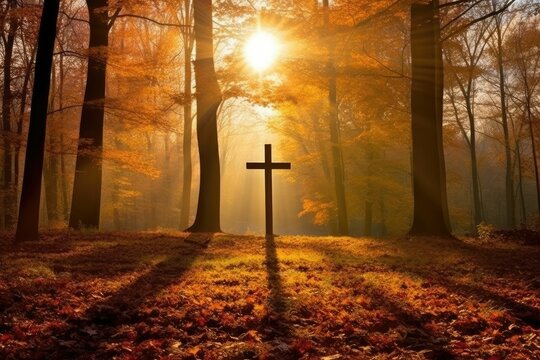 cross christ at autumn forest tree, with rays divine lights