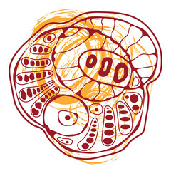 neurographic art minimalist. Creative artistic posters. Wall art