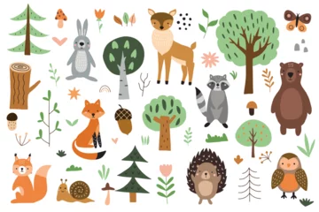 Foto op Plexiglas Uiltjes Set of cute forest animals with elements of nature on a white background. Vector illustration for your design, textiles, posters, postcards