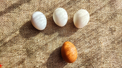 Lots of white eggs and one brown egg on rag jute cloth. Concept of individuality, exclusivity. Bullying, group and confrontation. Leadership and confidence. Agricultural Production of eggs, incubator
