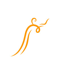 Swirl Element Doodle Vector