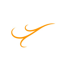 Swirl Element Doodle Vector