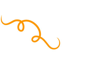 Swirl Element Doodle Vector