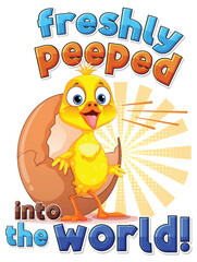 Little duckling hatching the egg text icon