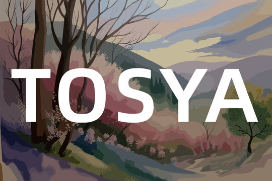 Beautiful watercolor painting of a Turkish scene with the name Tosya in Kastamonu