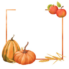 Square frame of Pumpkins and spikelets. Watercolor illustration. Autumn harvest. Delicious ripe vegetable. Vegetarian raw food. Halloween. colors of fall. For posters, websites, notebooks, textbooks.
