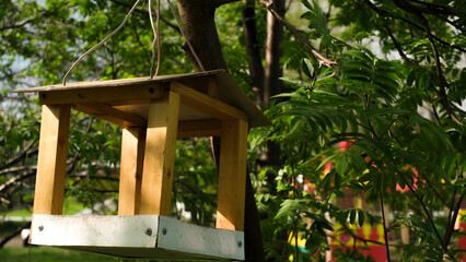 Fototapeta na wymiar Birdhouse on a tree. Bird feeders. Caring for the environment.