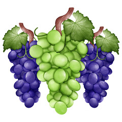 Grape