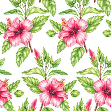Watercolor red hibiscus pattern © SashaKondr