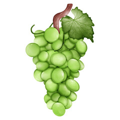 Grape
