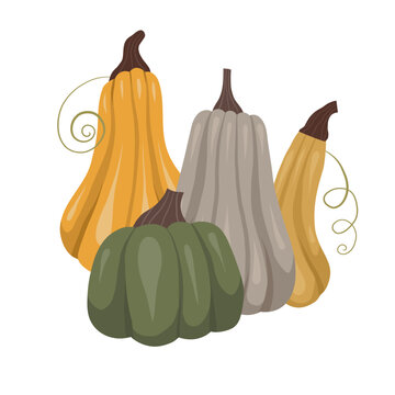 colorful pumpkins autumn harvest still life clip art preview