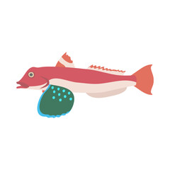 ホウボウ。フラットなベクターイラスト。 Spiny red gurnard. Flat designed vector illustration. © nagamushi studio