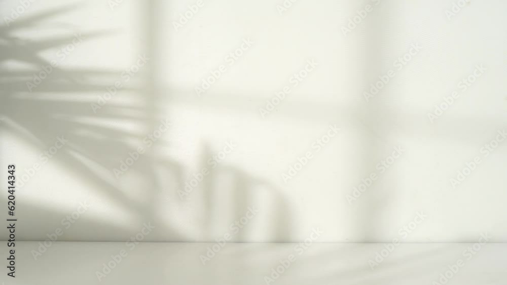 Poster empty room with a window and palm leaf shadow