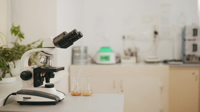 Food laboratory with microscope and grain in tubes with pipette. Lab equipment with copyspace.