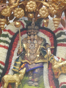Ammavari Brahmotsavam". Goddess Padmavathi decorated with yellow Chrysanthemum, Marigold Garlands. Hindu Religion Annual Goddess celebration Event, local language called "Sri Padmavathi 