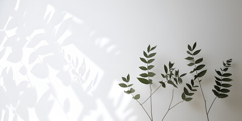 Gray background with natural shadows and plants for product presentation"
"Product presentation with gray background, plants, and realistic shadows"
"Elegant gray backdrop with natural shadows and bot